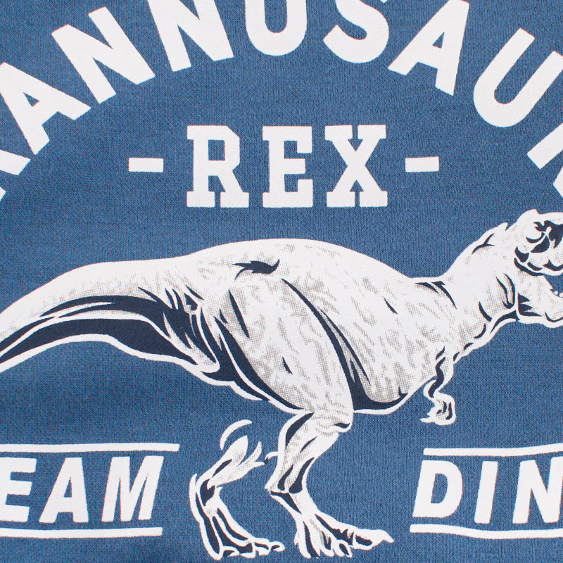Children’s Dinosaur Print Sweater – Cozy Kids Knitwear